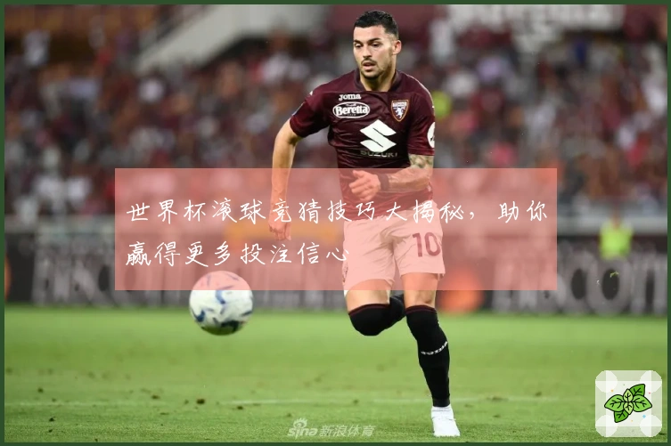 世界杯滚球竞猜技巧大揭秘，助你赢得更多投注信心
