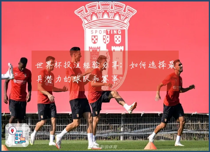 世界杯投注经验分享：如何选择最具潜力的球队和赛事
