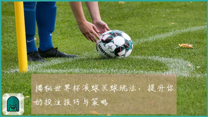 揭秘世界杯滚球买球玩法，提升你的投注技巧与策略