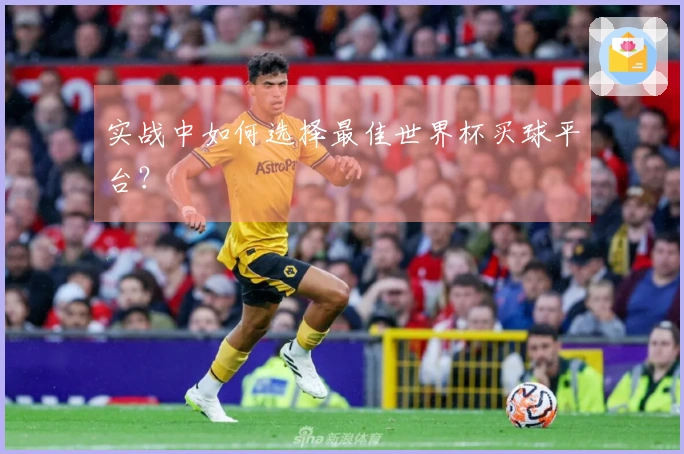 实战中如何选择最佳世界杯买球平台？