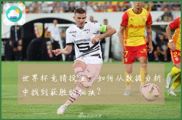世界杯竞猜投注：如何从数据分析中找到获胜的秘诀？