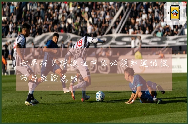 世界杯买球投注中你必须知道的技巧与经验总结