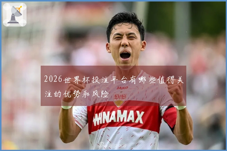 2026世界杯投注平台有哪些值得关注的优势和风险