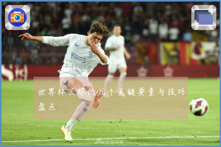 世界杯买球的几个关键要素与技巧盘点