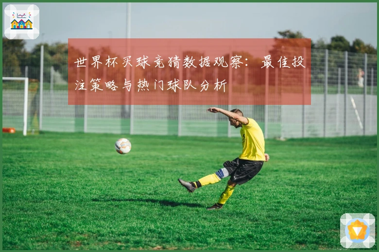 世界杯买球竞猜数据观察：最佳投注策略与热门球队分析