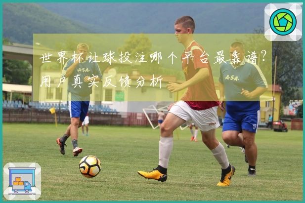 世界杯让球投注哪个平台最靠谱？用户真实反馈分析